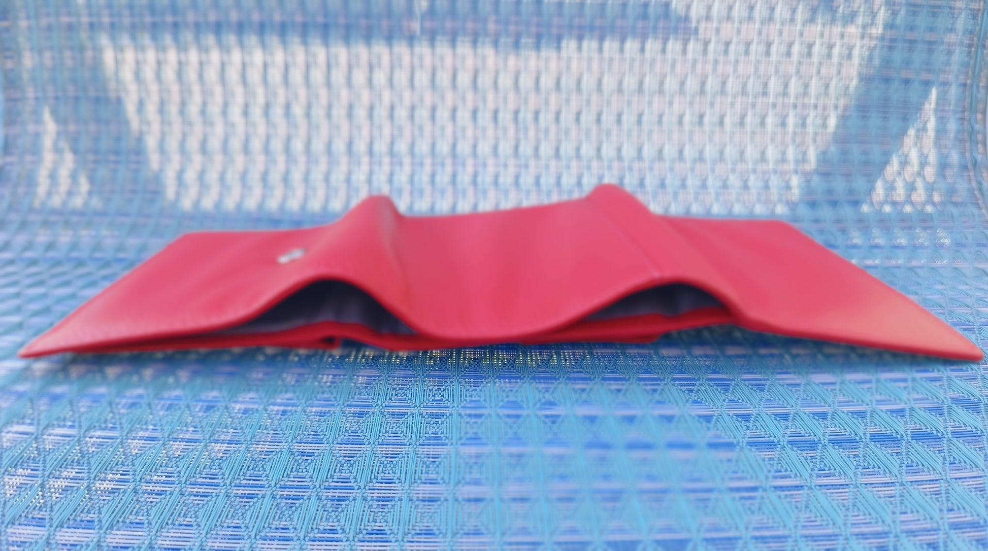 Evorya® Bright Pinkish Red Women's Wallet